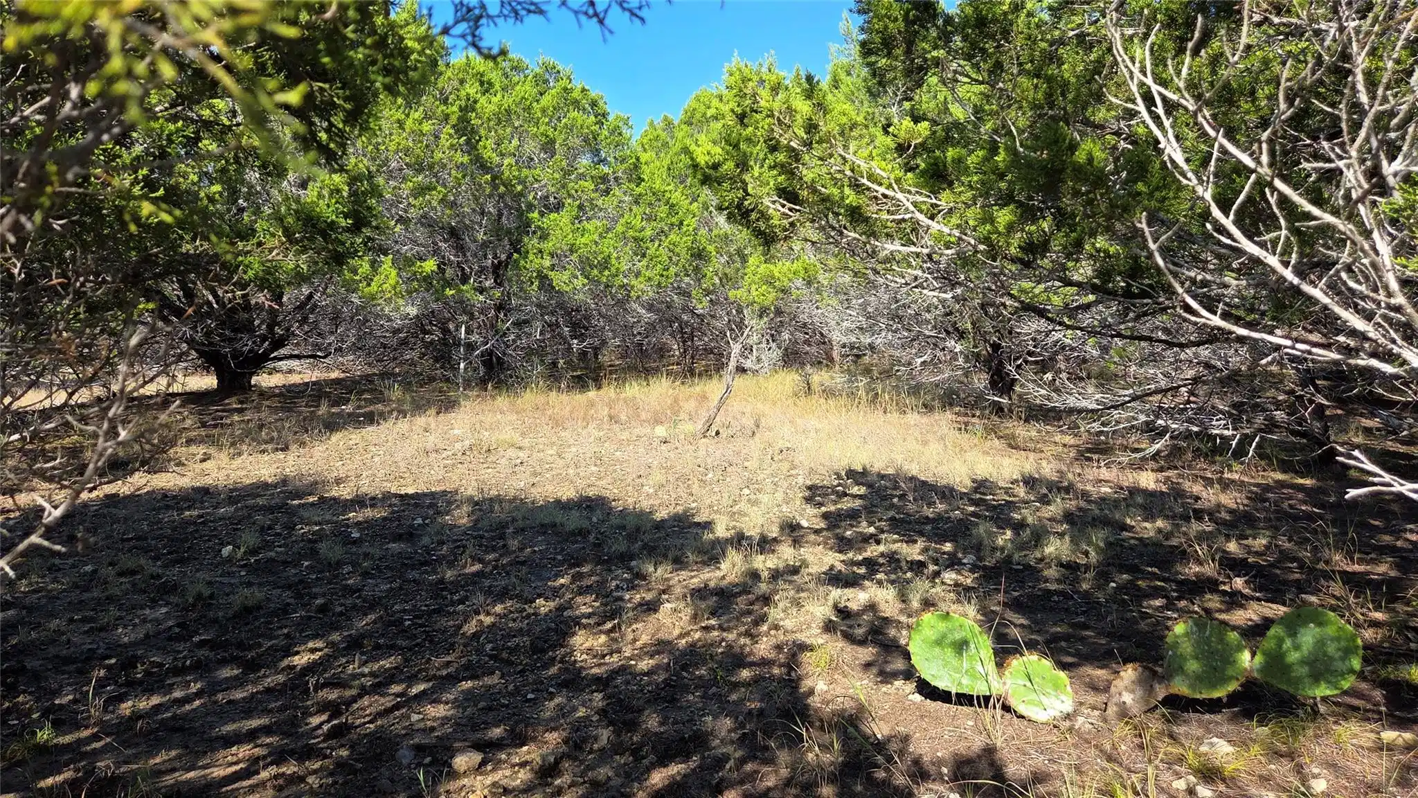 Image 1 Image 1