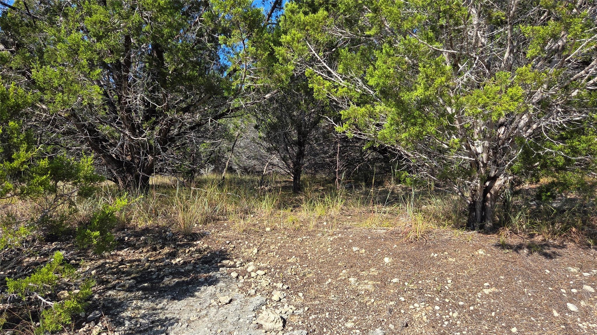 Image 3 Image 3