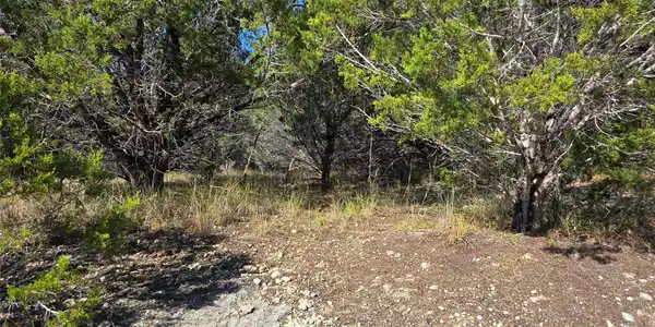Image 3 Image 3