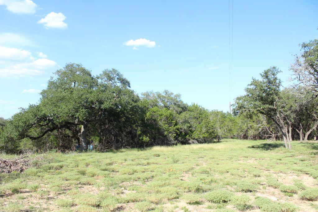 Image 4 Image 4