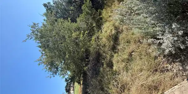 Image 3 Image 3