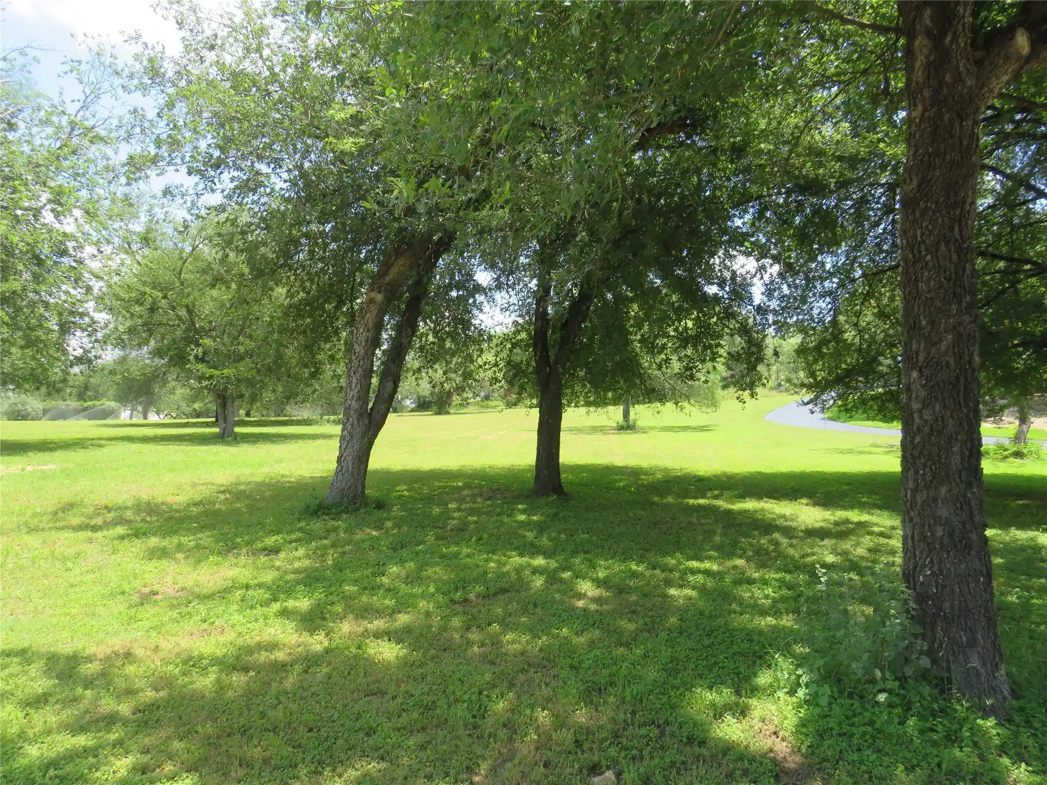 Image 1 Image 1