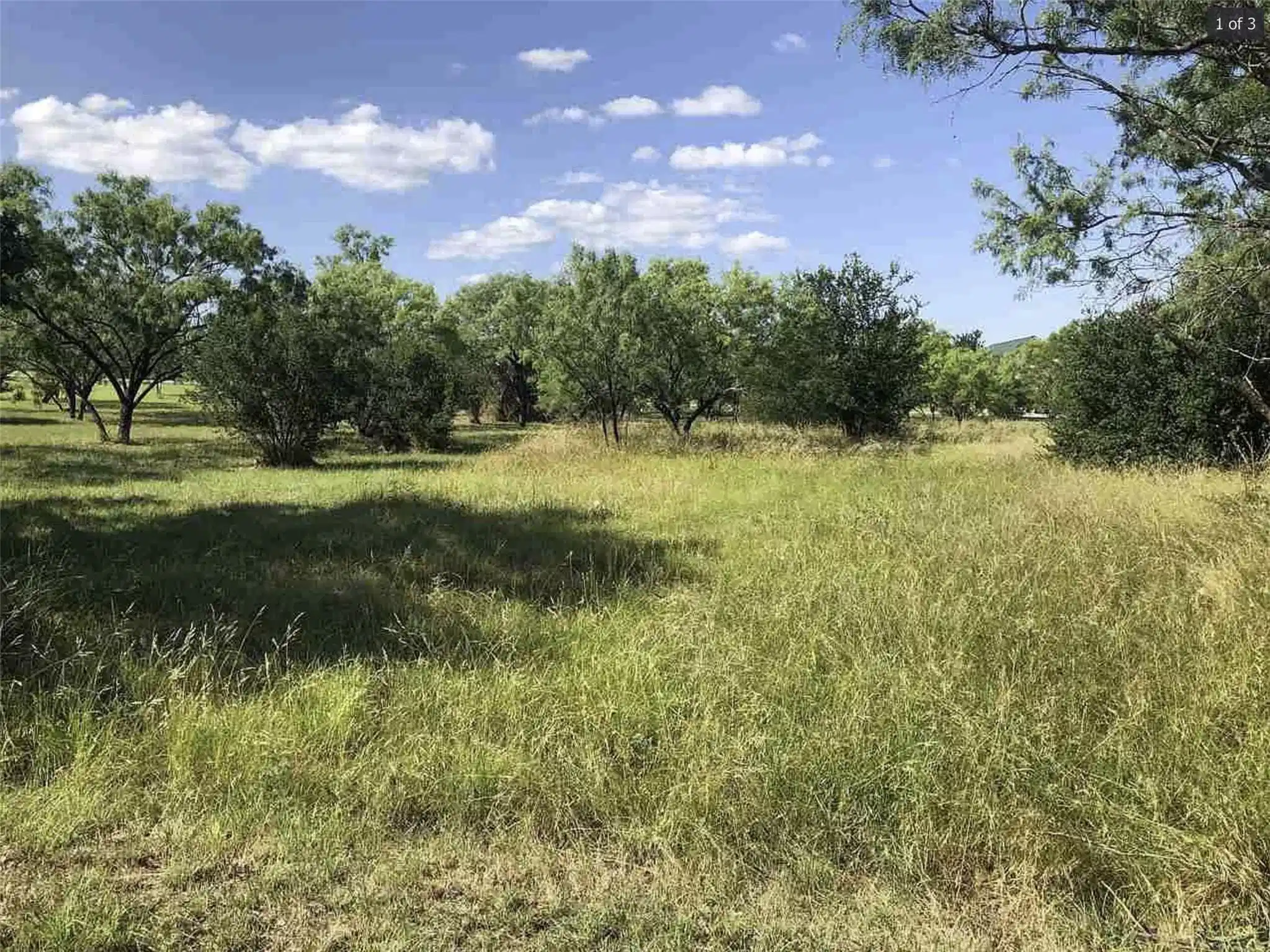 Image 1 Image 1