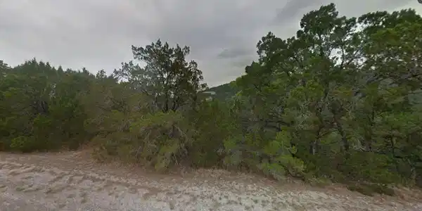 6903 Live Oak