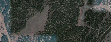 58 Longview DR