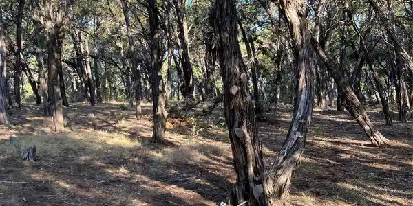 Image 4 Image 4