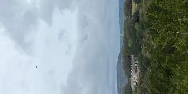 3101 EARHART CV