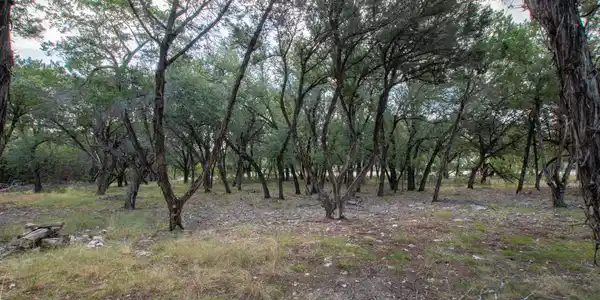 Image 4 Image 4