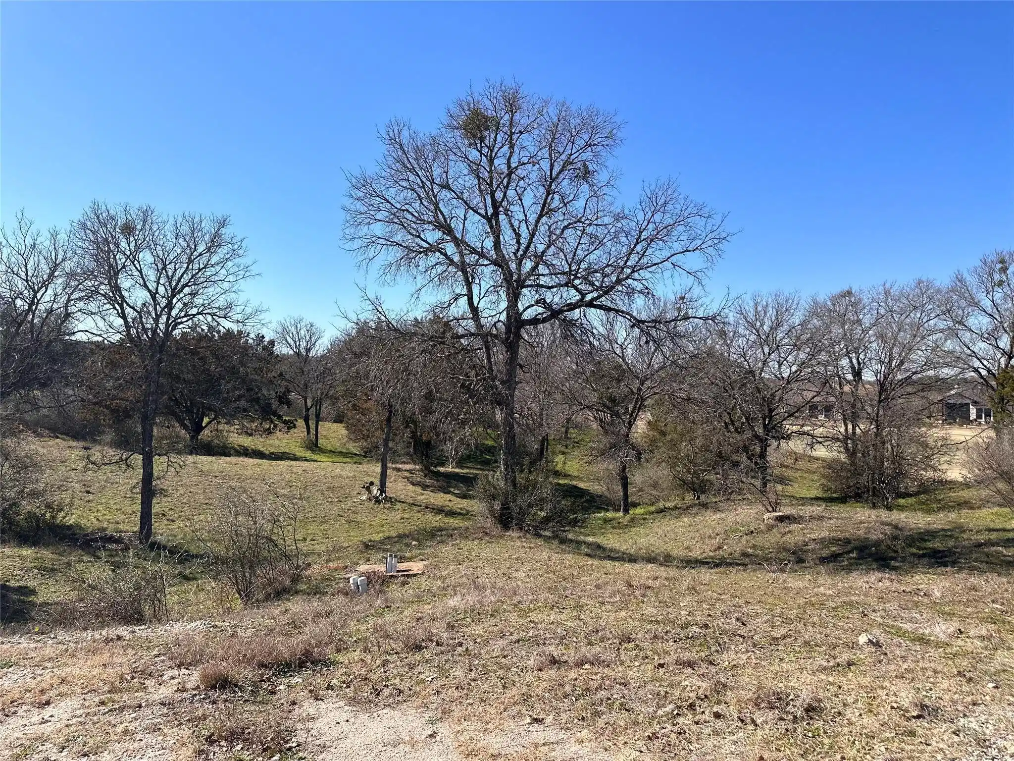 Image 1 Image 1