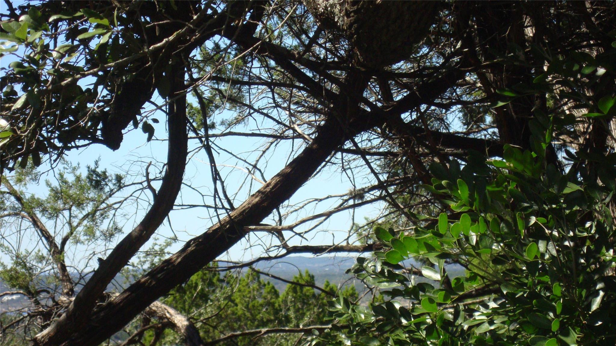 Image 3 Image 3