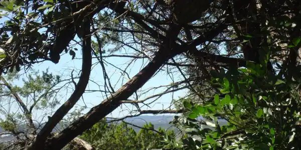 Image 3 Image 3