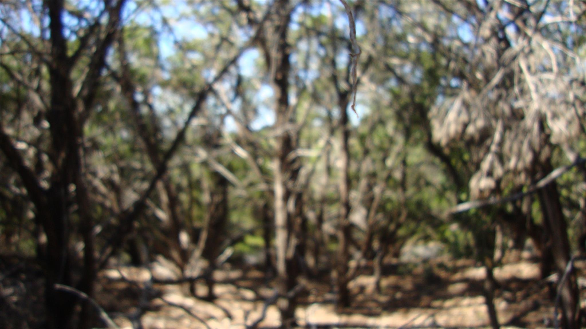 Image 4 Image 4