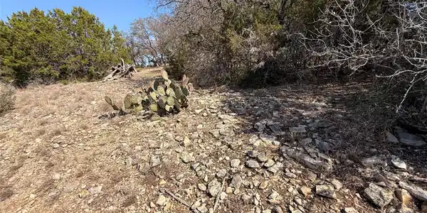 Image 3 Image 3