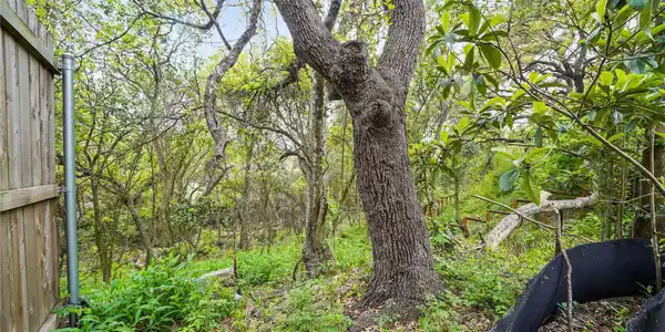 Image 2 Image 2