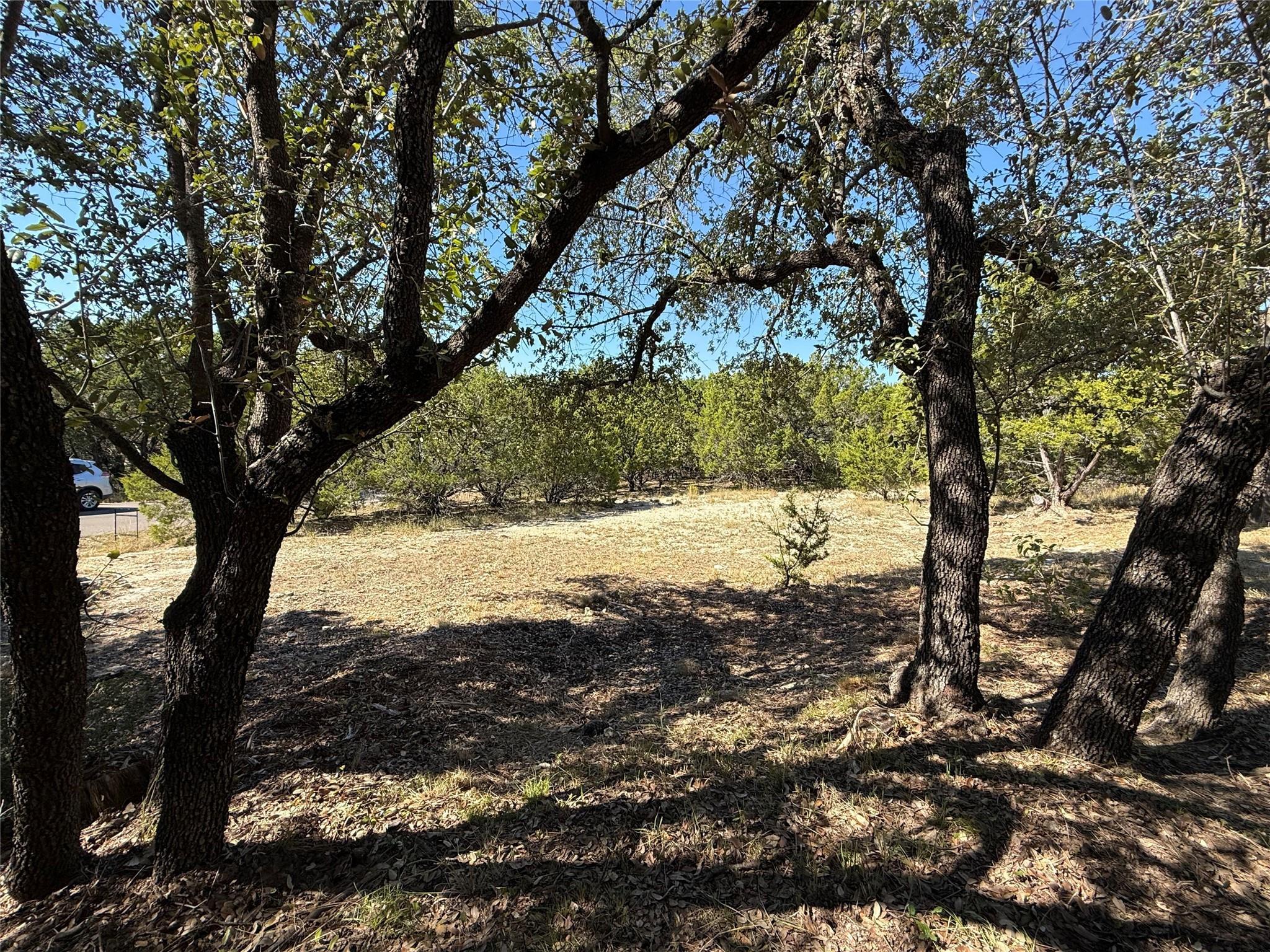 Image 3 Image 3