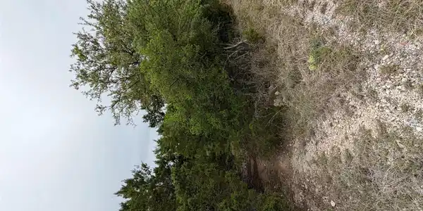 Image 3 Image 3