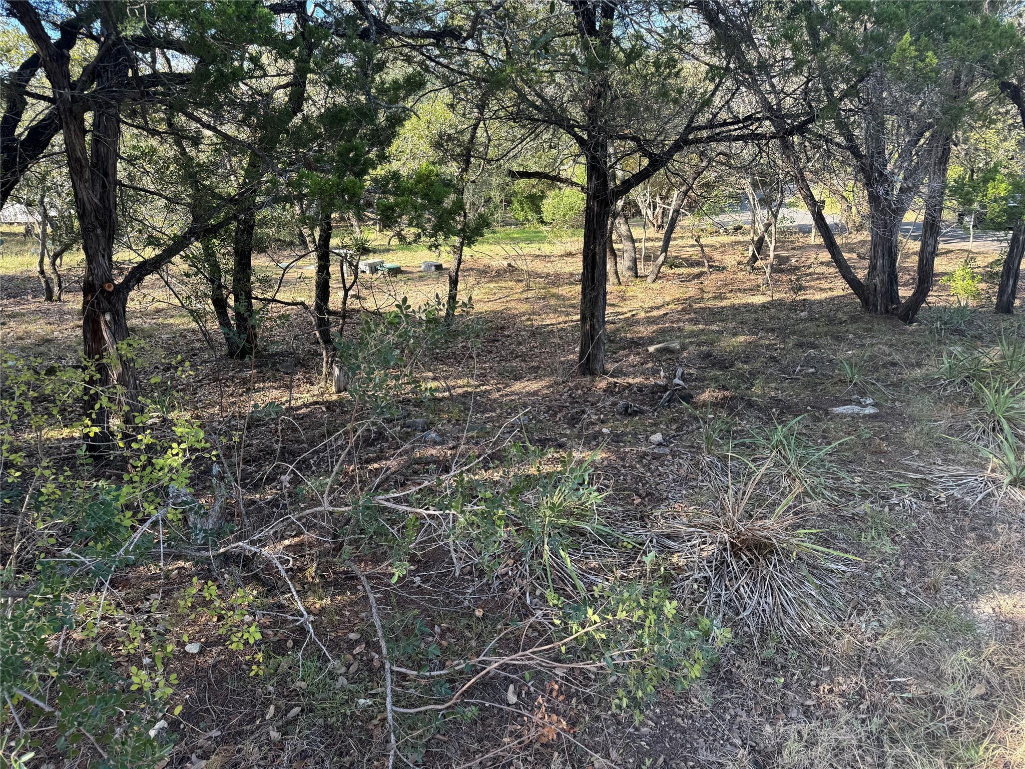 Image 3 Image 3