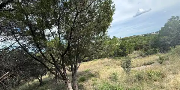 Image 4 Image 4