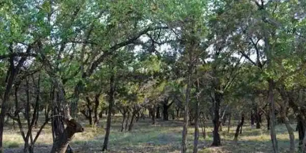 Image 4 Image 4