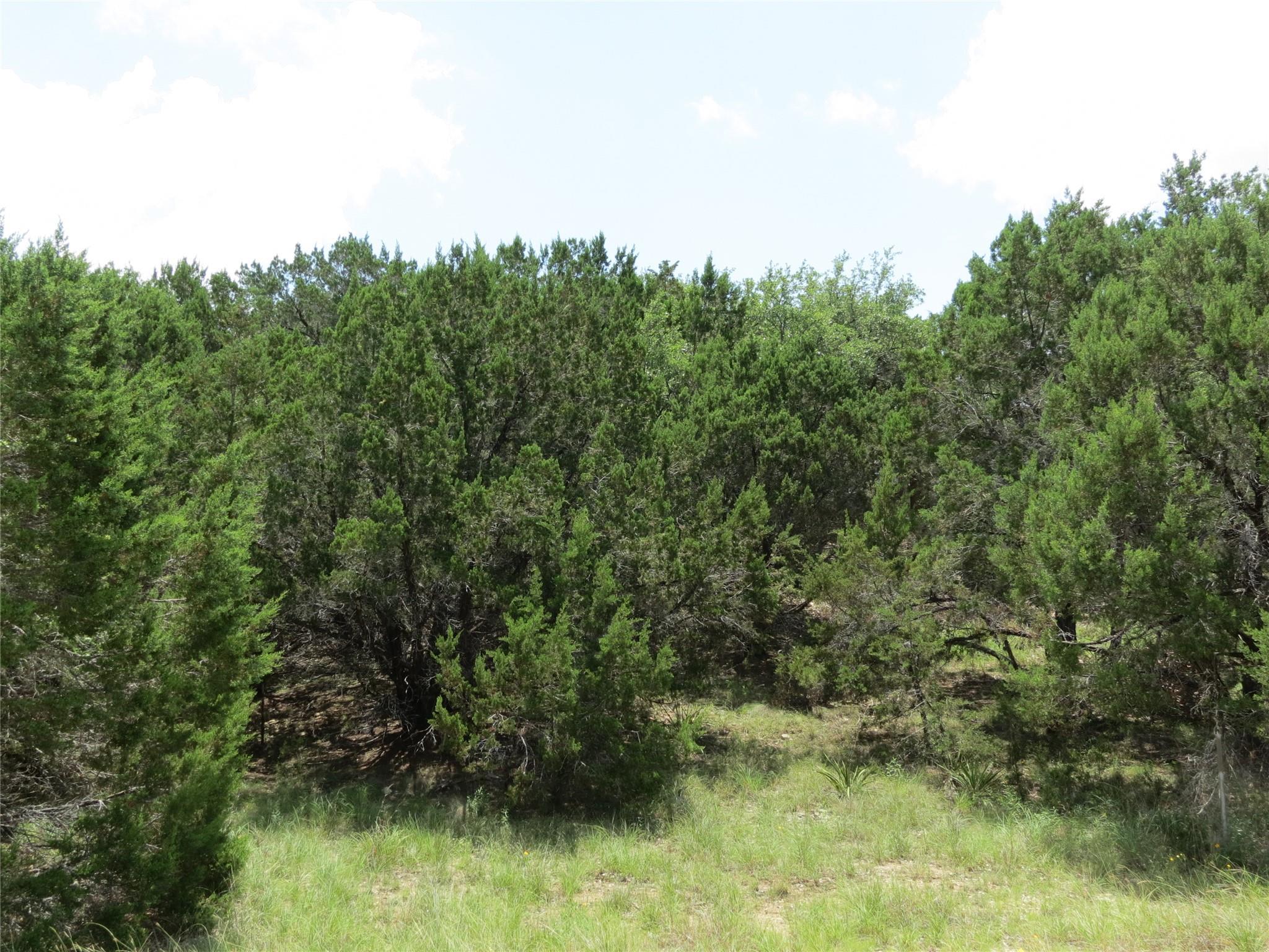 Image 3 Image 3