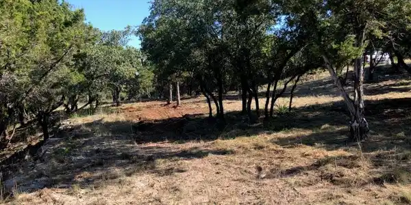 Image 4 Image 4
