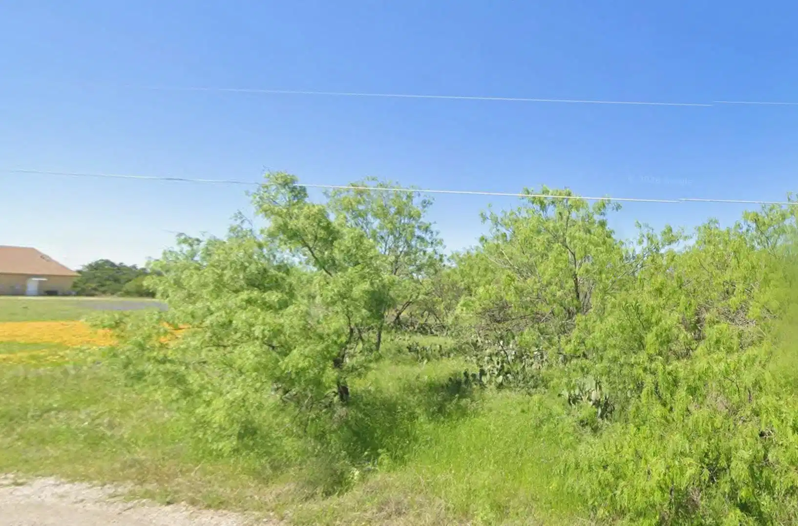 Image 1 Image 1