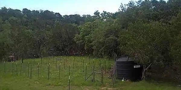 Image 2 Image 2