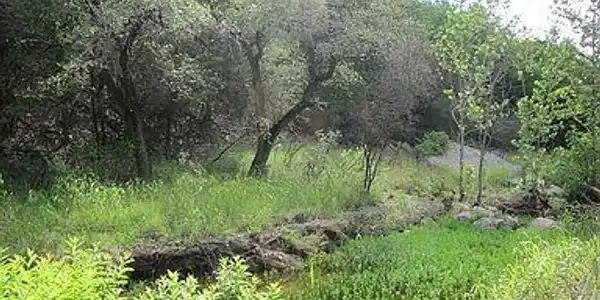 Image 3 Image 3