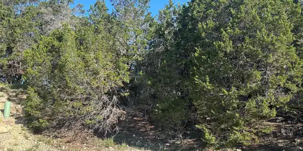 Image 3 Image 3