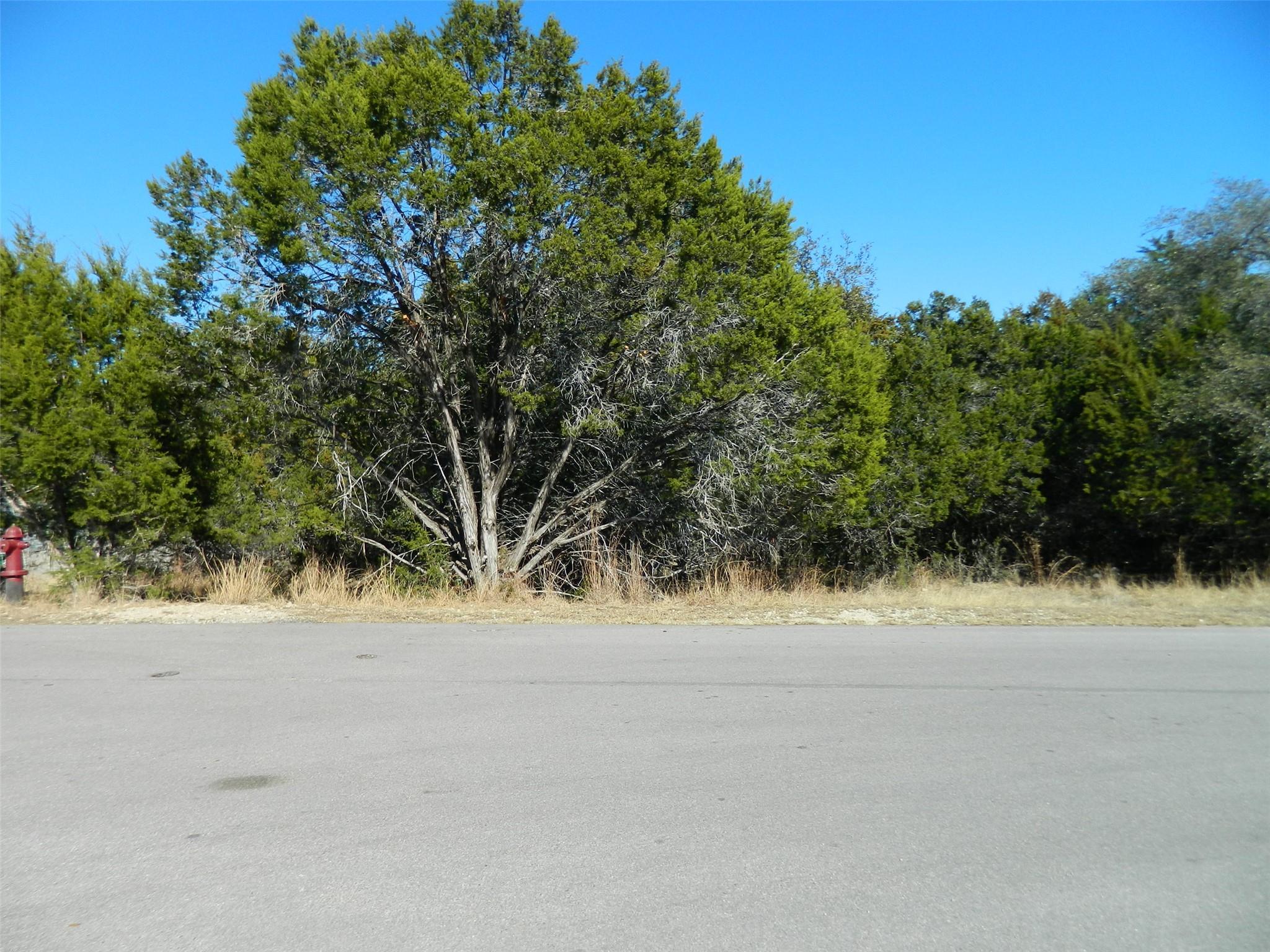 Image 2 Image 2