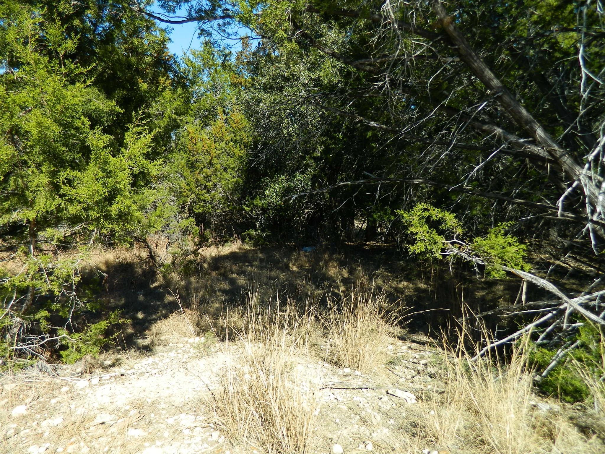 Image 3 Image 3