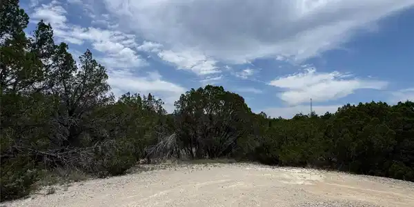 Image 3 Image 3