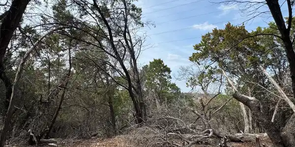 Image 3 Image 3