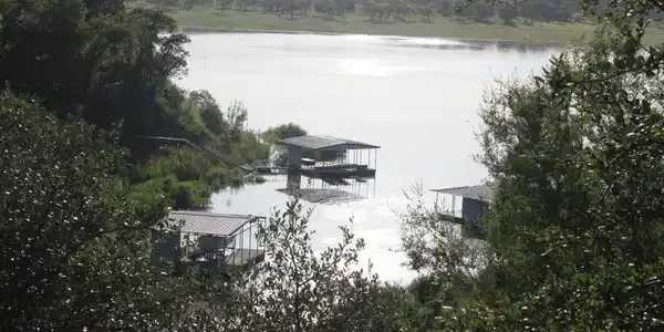 Image 4 Image 4
