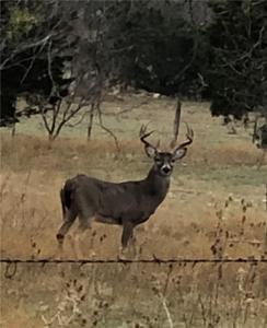 0000 County Road 2337