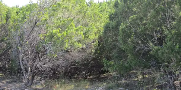 Image 2 Image 2