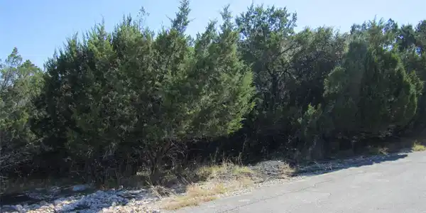 Image 3 Image 3