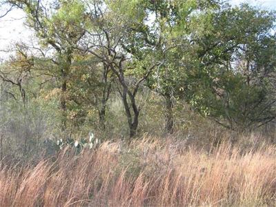 LOT Glen Forest Dr