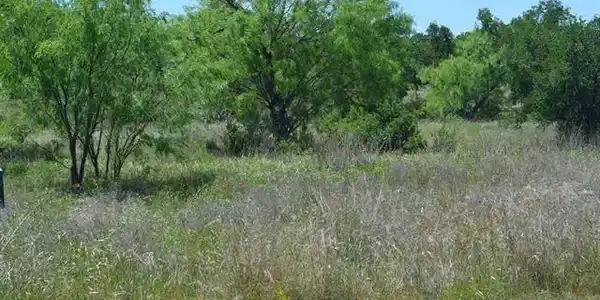 Lot 63 Pristine Pass