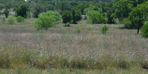 Lot 61 Pristine Pass