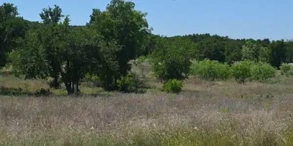 Lot 62 Pristine Pass