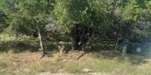 2027 Omaha DR