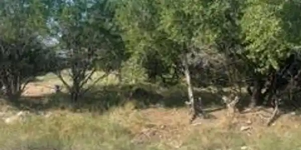 Image 2 Image 2