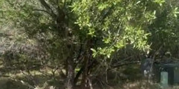 Image 3 Image 3