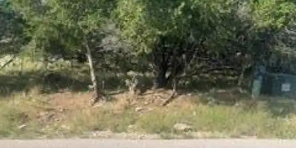 Image 4 Image 4