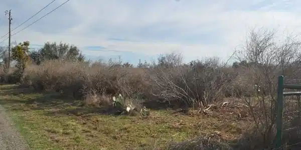 Lot 16 County Road 140