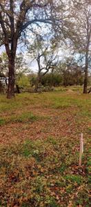 Lot 902 E Castleshoals DR