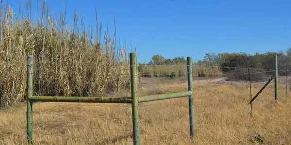 00 County Road 225