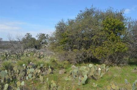Lot 106 & 107 FM 2341 & Front Street