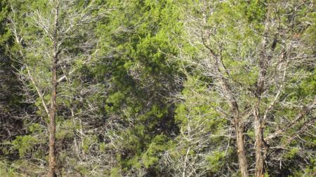 13904 & 13902 Saskatchewan DR